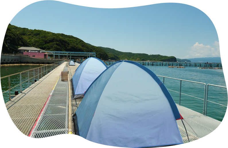 キャンプエリアのテント